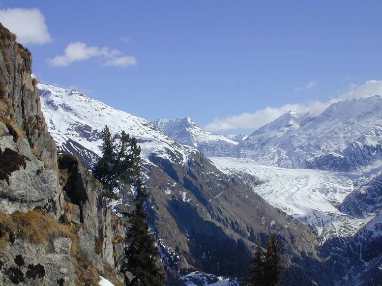 DSCN0005