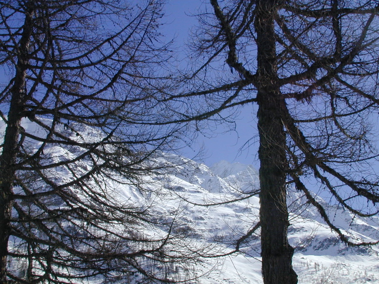 DSCN0050