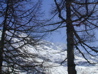 DSCN0050