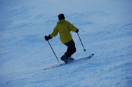 DSC_2198.JPG