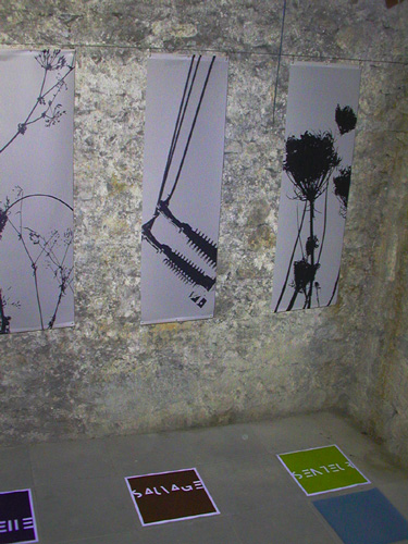 13 avec Marieke Kern