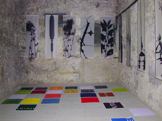 13 avec Marieke Kern