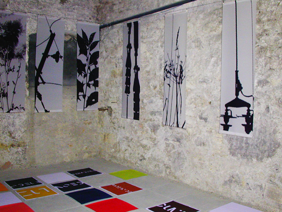 13 avec Marieke Kern