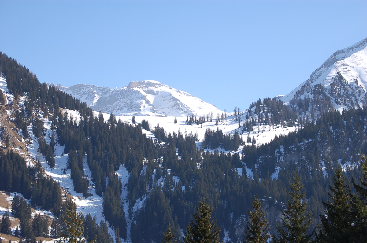 DSC_2626.JPG