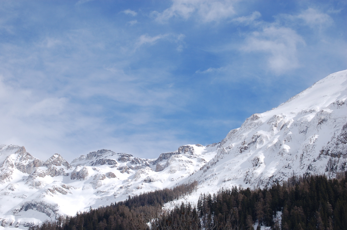 DSC_2660.JPG