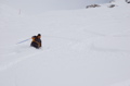 DSC_2657.JPG