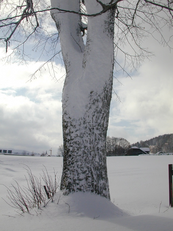 DSCN0055