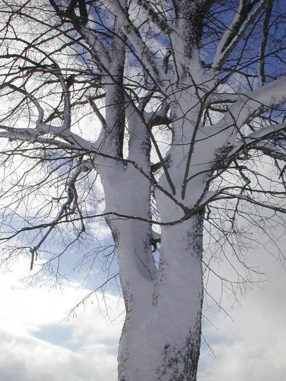 DSCN0056