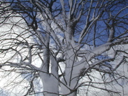 DSCN0057