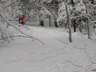 PICT0088
