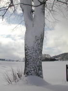 DSCN0055