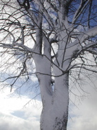 DSCN0056